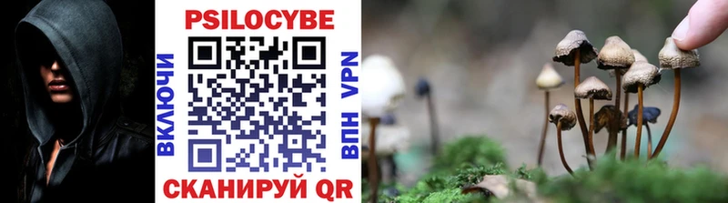 купить наркотики сайты  darknet клад  Галлюциногенные грибы GOLDEN TEACHER  Иланский 
